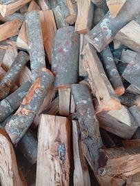 🌳 Legna da ardere secca 