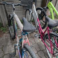 MONTABIKE E BICICLETTA DA DONNA