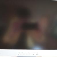 LCD LG Flatron 15 Pollici