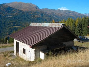 Baita, rustico, maso o terreno