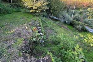 Casa singola con terreno a Santa Venerina