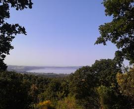 Terreno panoramicisimo 2 km. lago di bracciano