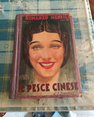 IL ROMANZO MENSILE 