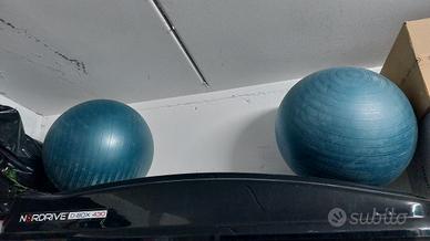 Palle grandi fitness