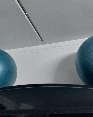 Palle grandi fitness
