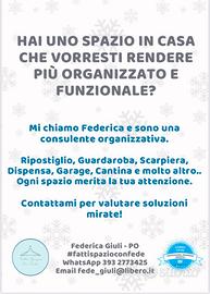 Consulente Organizzativo