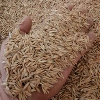 Avena Sarda 40 il quintale