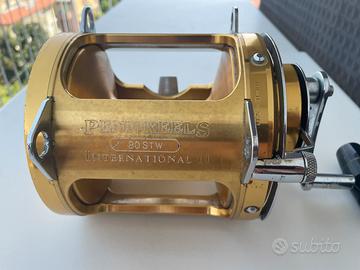 Mulinello Penn 80STW + canna Penn 2080B