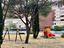 Immagine 27