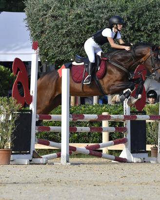 Cavallo da salto