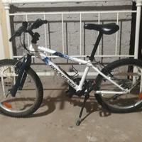 bici mtb da 20 