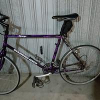 MTB Diamond Back Topanga anni 90