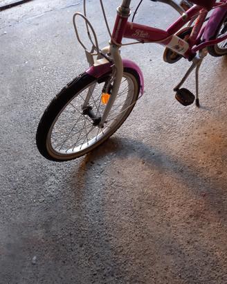 bicicletta 