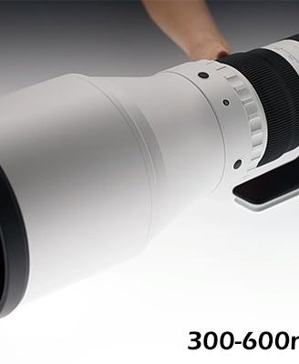 Super Tele obiettivo Sigma 300 - 600 f4 DG OS port