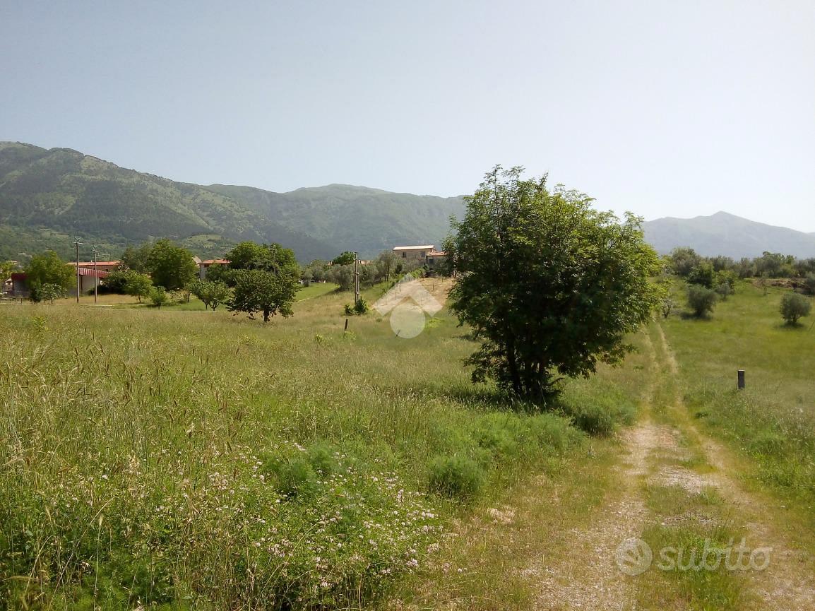 RUSTICO A ALVITO - Vista 2