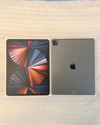Ipad Pro 12.9” 5a gen M1 256GB + Apple pencil Pro