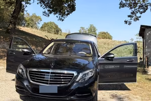 Mercedes-Benz S 350 d W222 (2014)