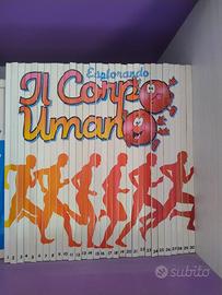Enciclopedia Esplorando Il Corpo Umano 30 volumi