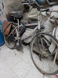 bicicletta schiano da passeggio 