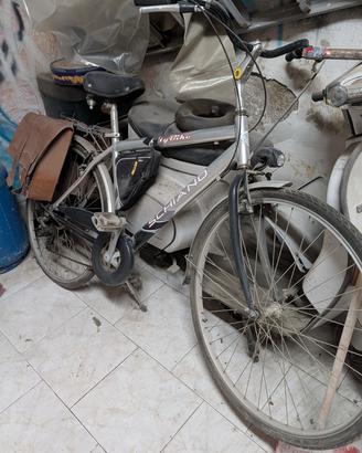 bicicletta schiano da passeggio 