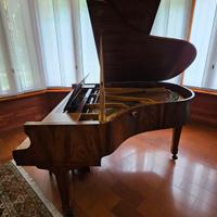 🎹 Petrof Pianoforte a Mezza Coda 
