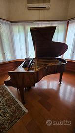 🎹 Petrof Pianoforte a Mezza Coda 