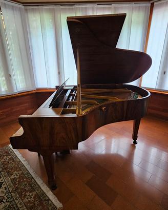 🎹 Petrof Pianoforte a Mezza Coda 