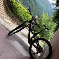 Canyon Torque 6