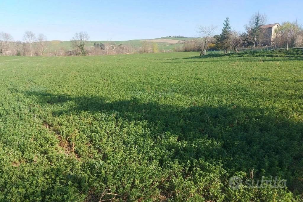 Immobile in asta di 12150 m² a Mercato Saraceno - Altro