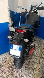 Portatarga completo Yamaha Tenere 700