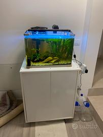 Acquario completo