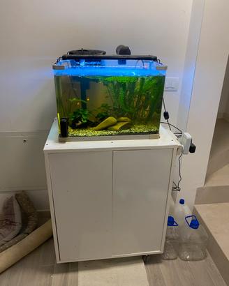 Acquario completo