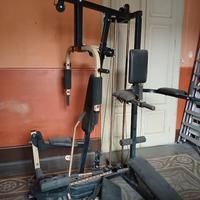 Palestra Multifunzione