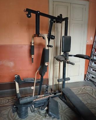 Palestra Multifunzione