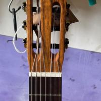 Chitarra 7 corde Ortega r133-7