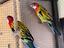 Immagine 1