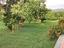 Immagine 12