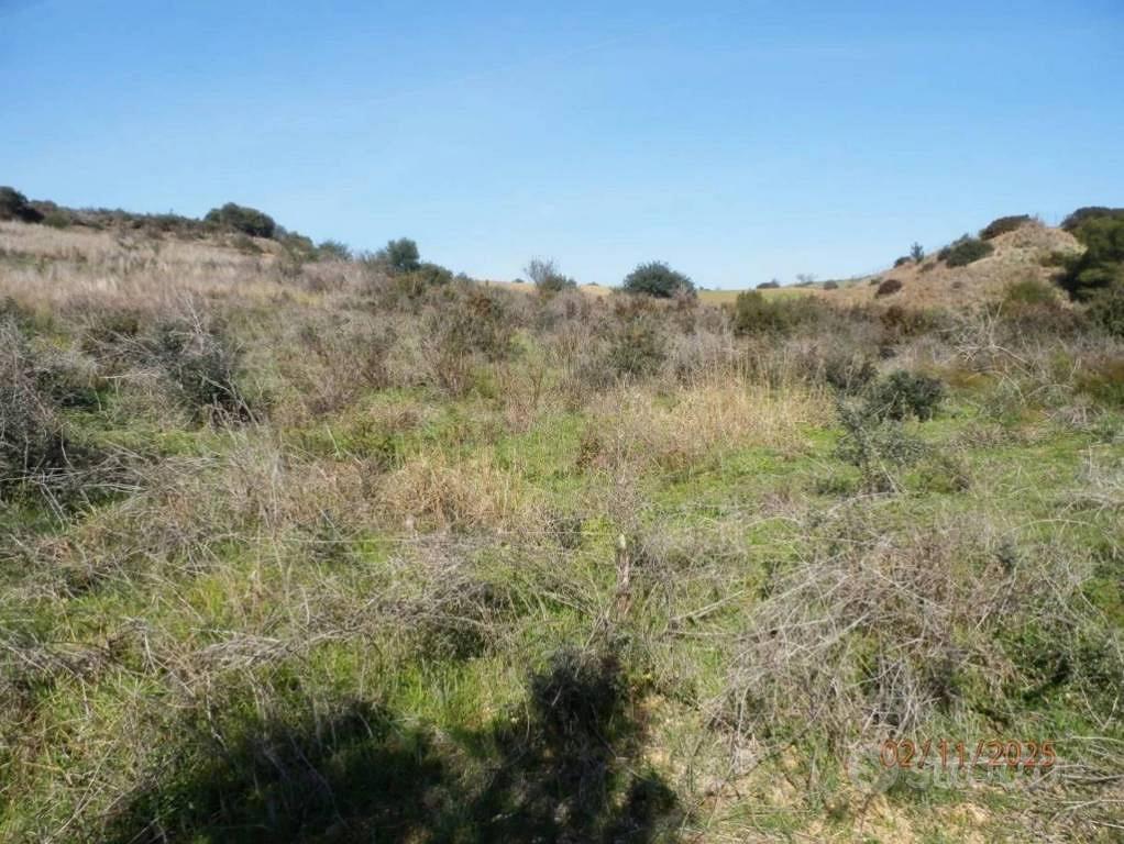 Immobile in asta di 46370 m² a Montescaglioso - Vista 4