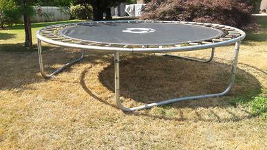 Trampolino elastico cm 240