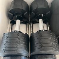 manubri regolabili kingsgym