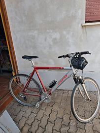 Bici trekking Sempion Centaurus