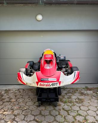 Birel kart