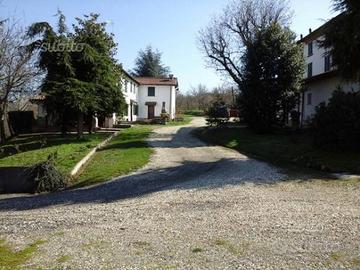 Non ci sono PAROLE -