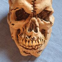 Teschio in plastica per halloween
