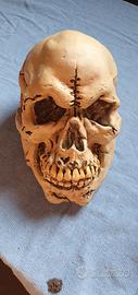Teschio in plastica per halloween