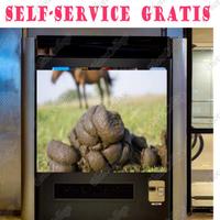 letame  /concime equino self service