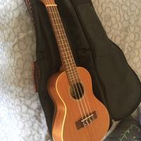 Ukulele concerto