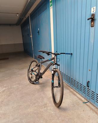 Wheelie bike