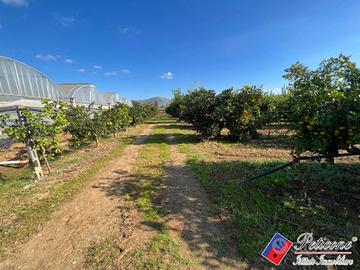 Terreno agricolo - Fondi