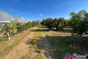 Terreno agricolo - Fondi